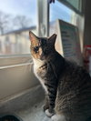 Buddy Nov 23 - Photo 1