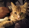 Buddy Nov 23 - Photo 2