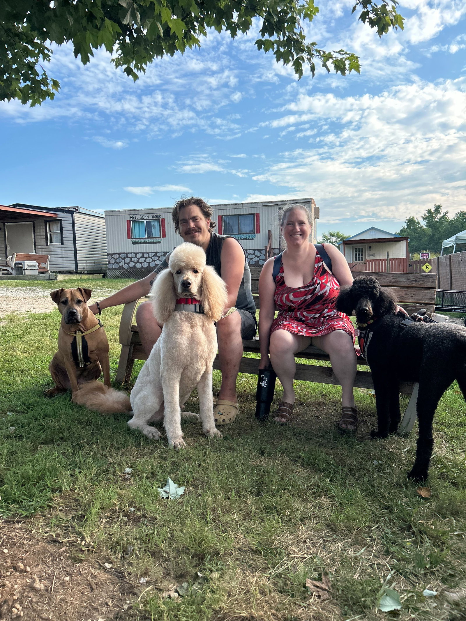 Dog Image
