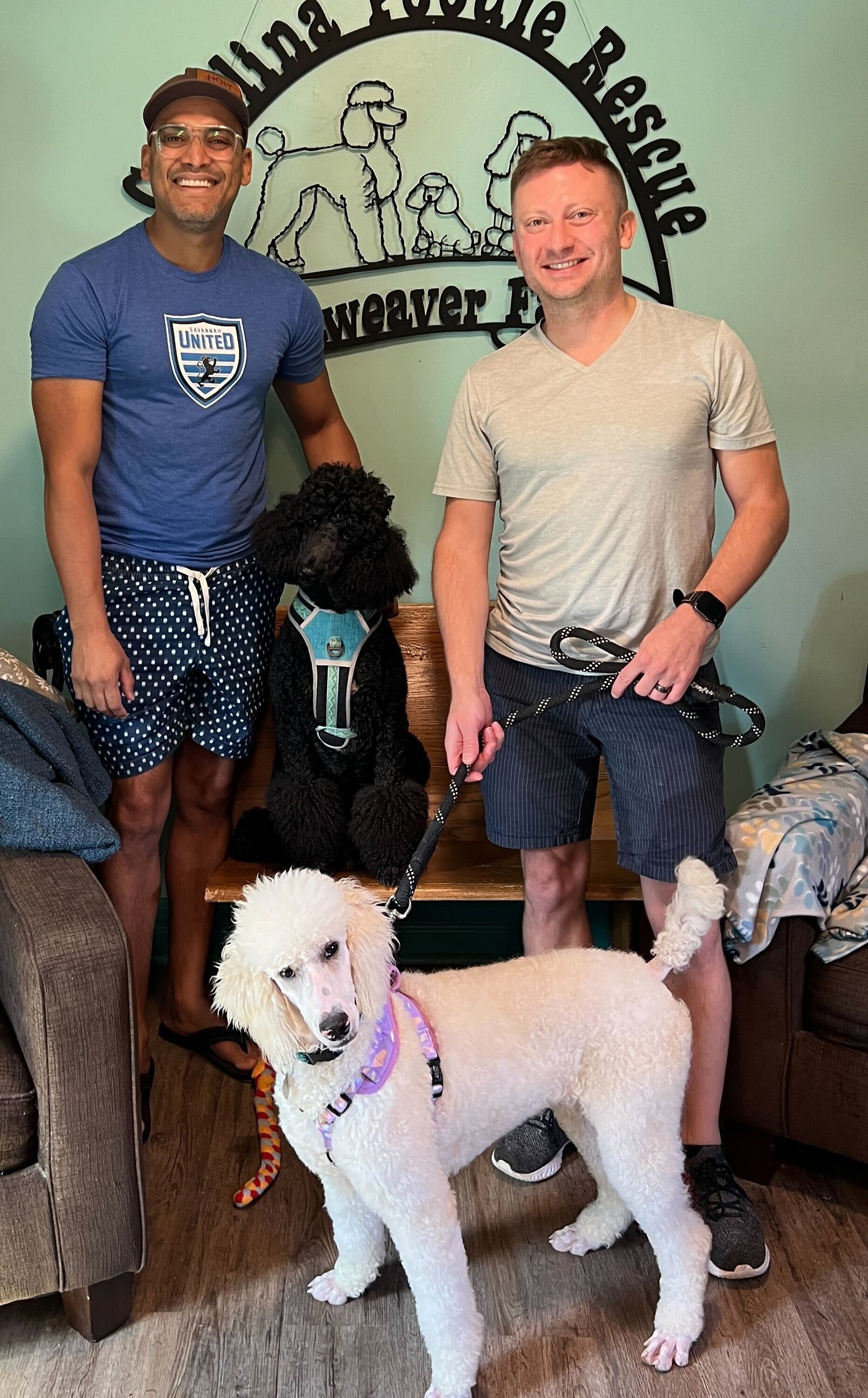 Dog Image