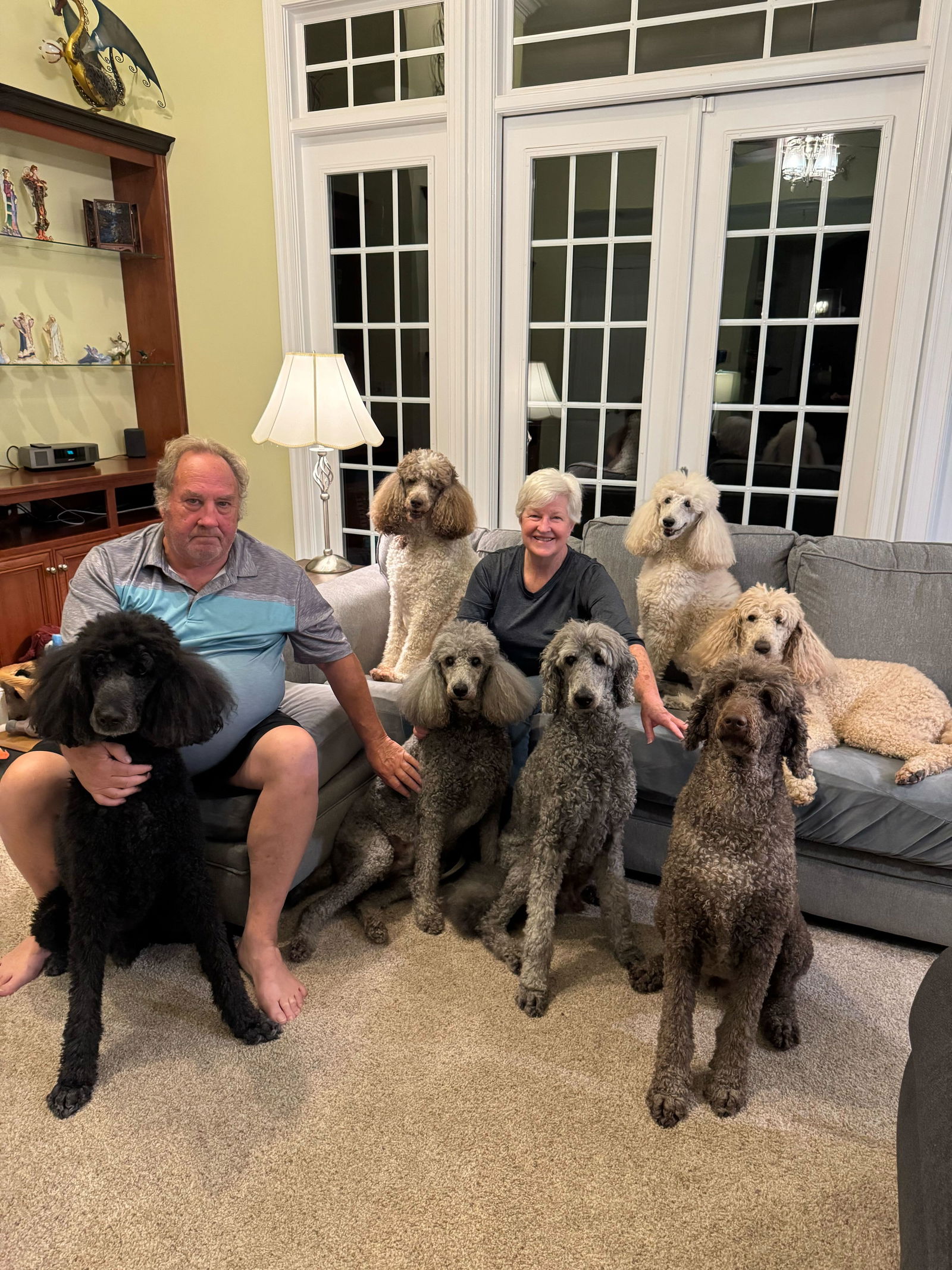 Dog Image