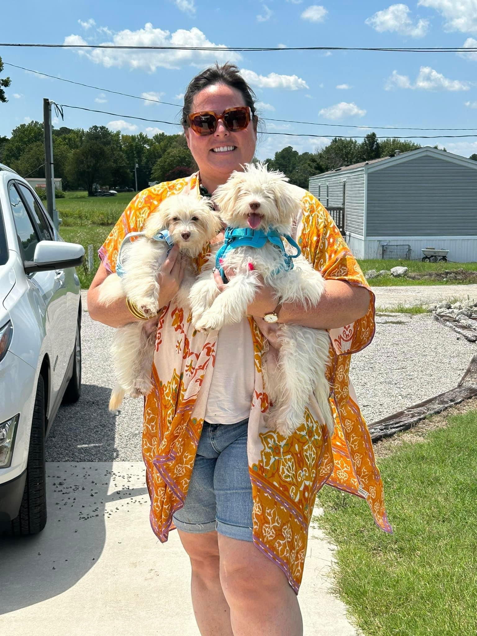 Dog Image