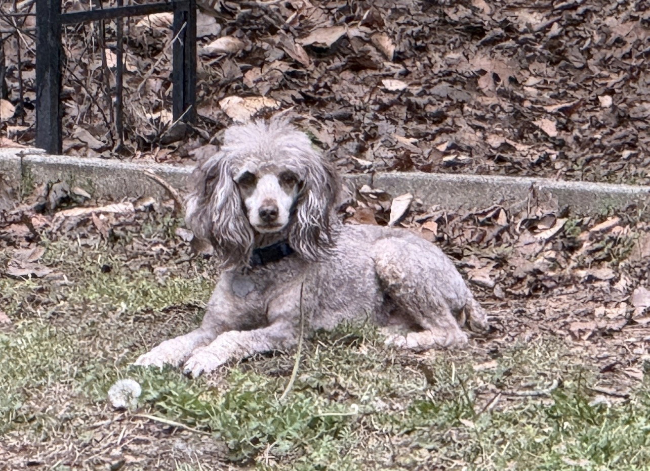 Photo 2 of 9 — Benjamin Apr 24 - A Sensitive Boy