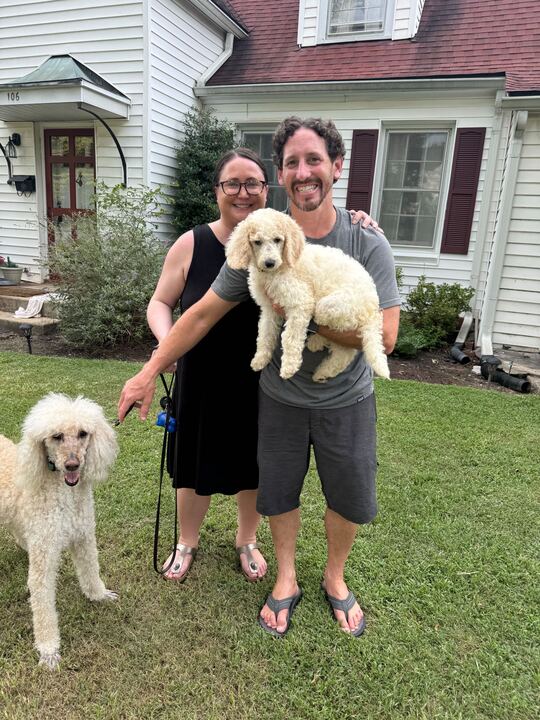 Dog Image
