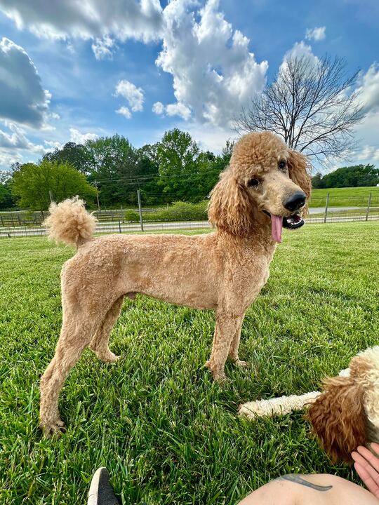 Photo 7 of 9 — Bentley Nov 24