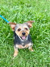 A Bundle of Joy - Sprocket Nov 24