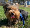 A Bundle of Joy - Sprocket Nov 24