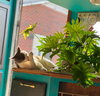 Matilda Dec 24 - Photo 4