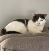 Matilda Dec 24 - Photo 3