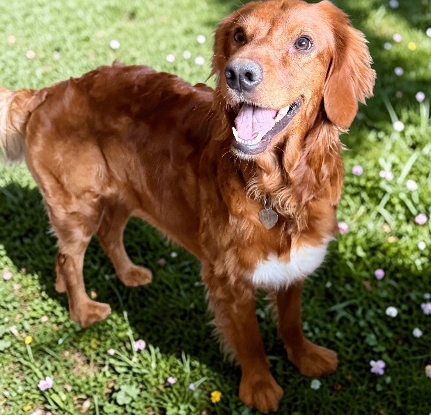 Photo of Gabby - Jan 25 - My Heart Is Special