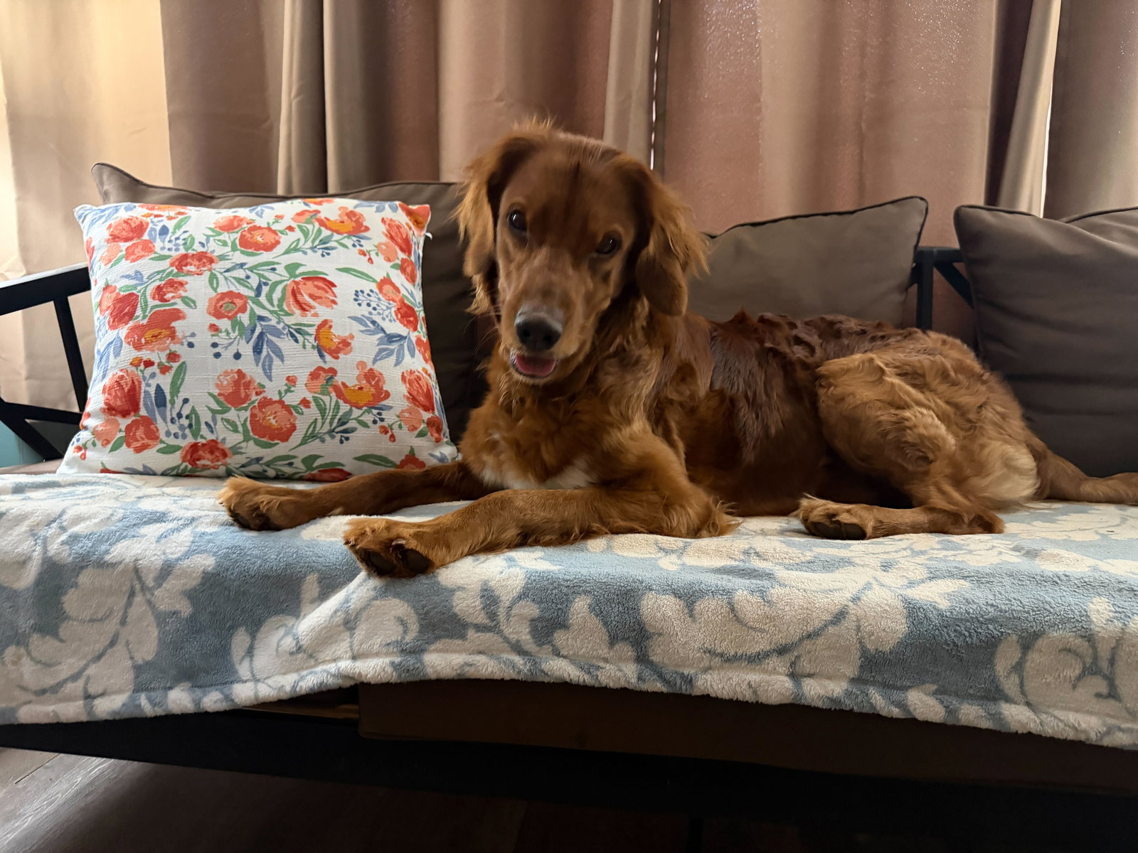 Photo 3 of 5 — Gabby - Jan 25 - My Heart Is Special