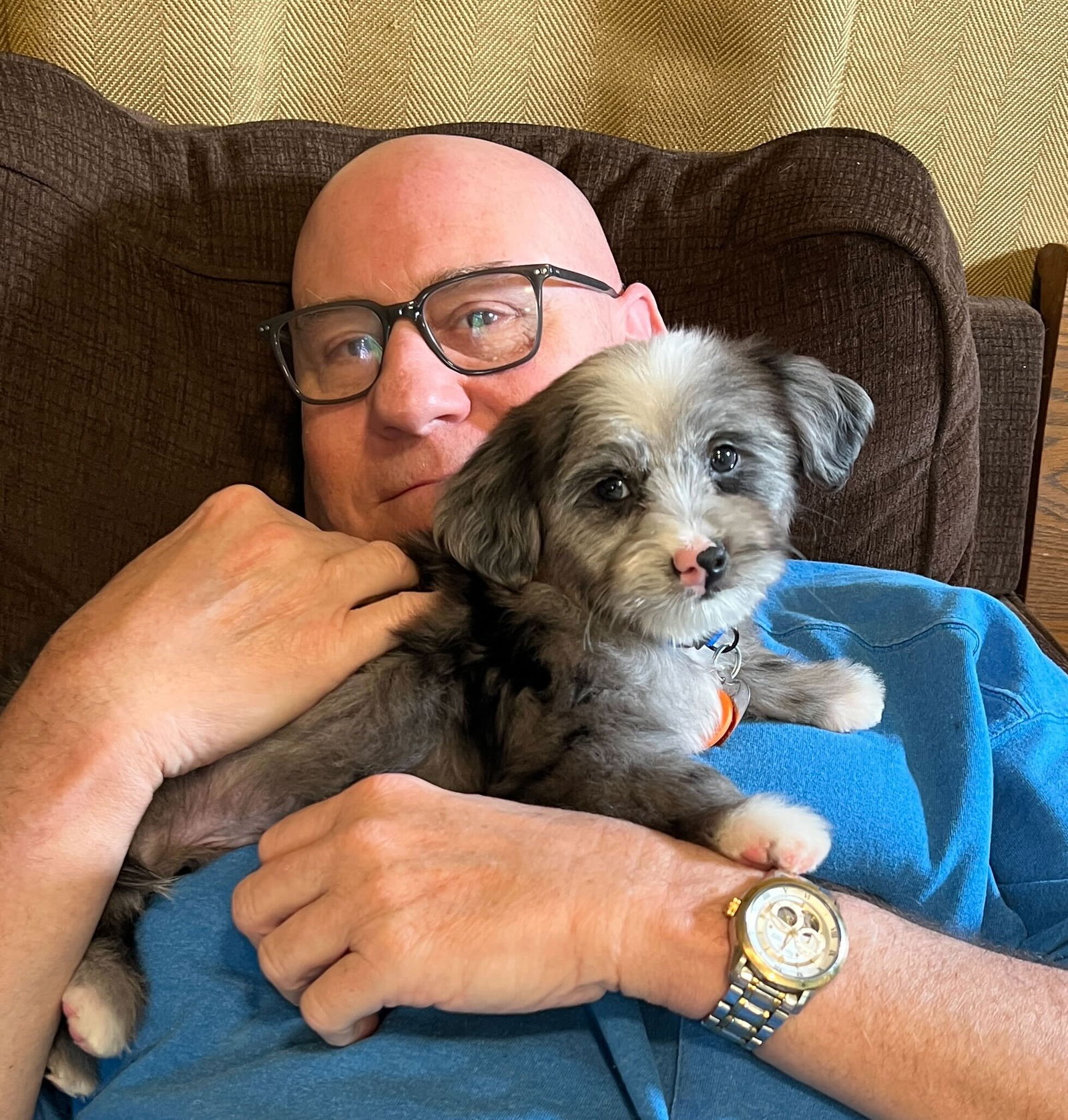 Dog Image