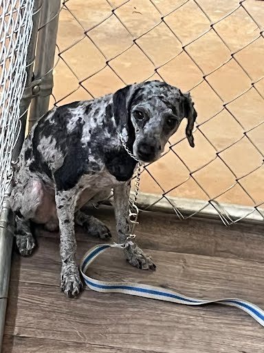 Photo 8 of 8 — SOS Oliver May 25 - So Shy and Shutdown