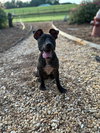 Sage May 25 - Photo 3