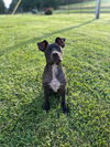 Sage May 25 - Photo 5