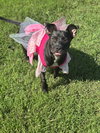 Sage May 25 - Photo 4