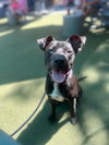 Sage May 25 - Photo 6