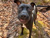 Sage May 25 - Photo 2