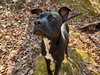 Sage May 25 - Photo 4