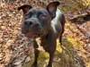 Sage May 25 - Photo 8