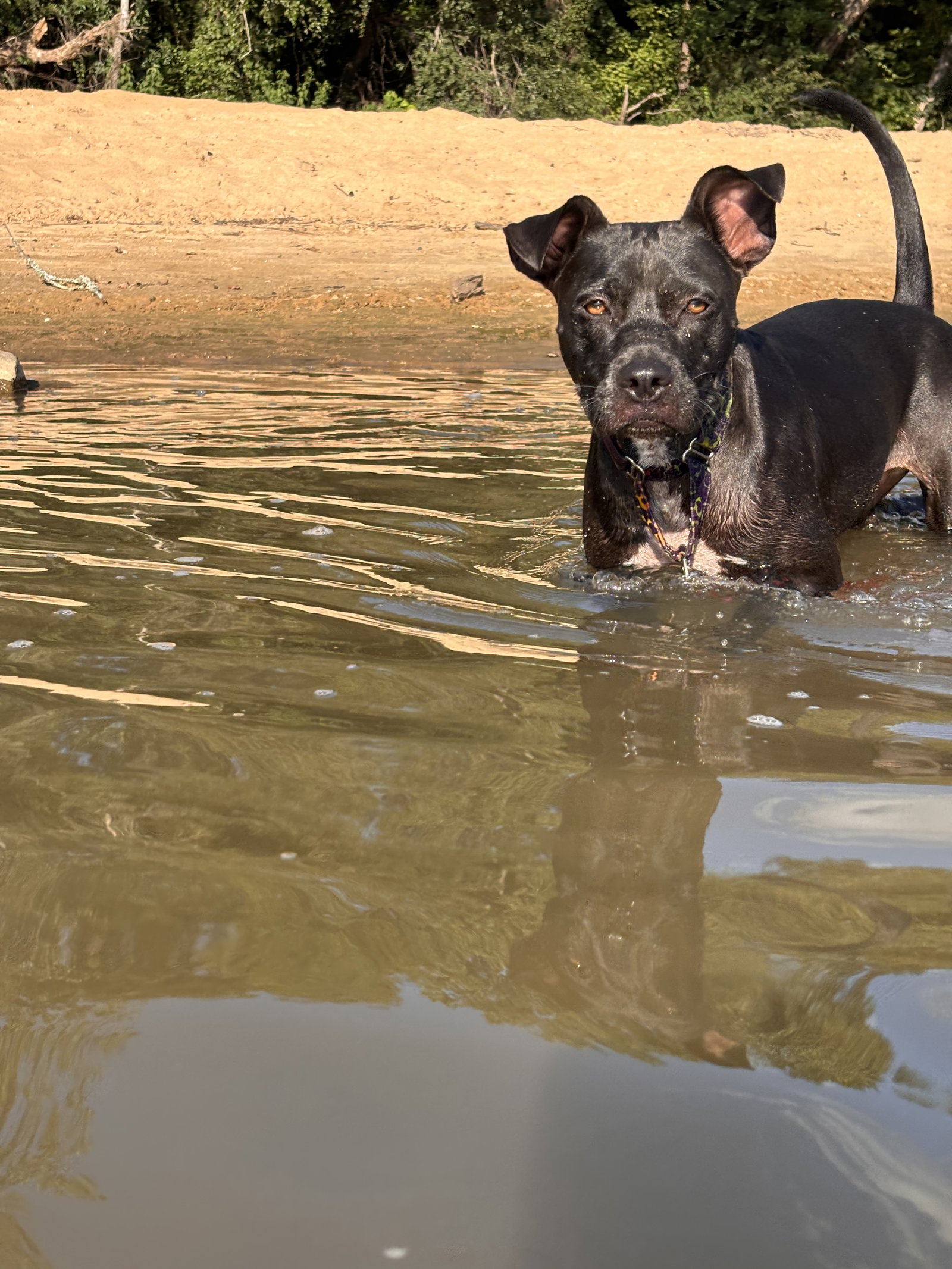 Photo 5 of 12 — Sage May 25
