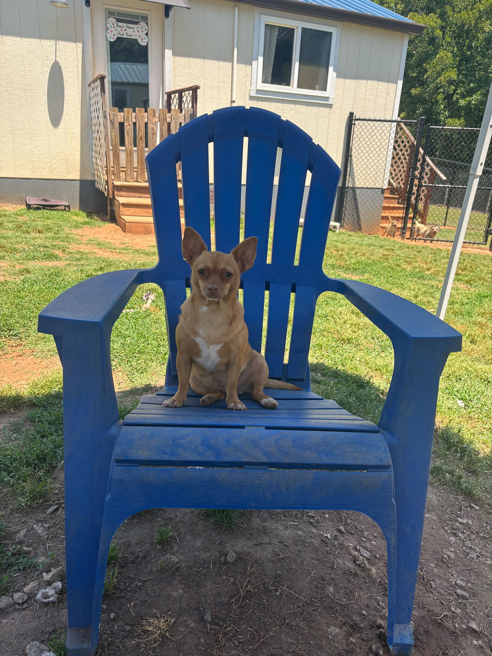 Photo 6 of 6 — Ember Jun 25