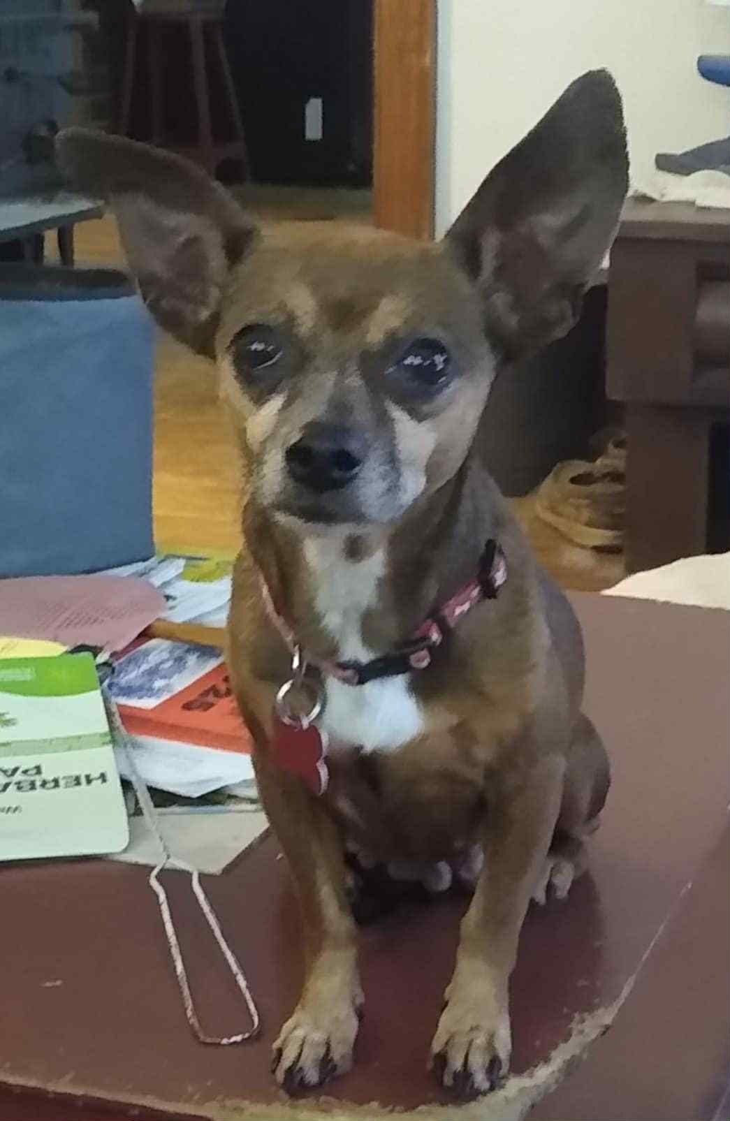 Photo 5 of 6 — Ellie Mae Jun 25