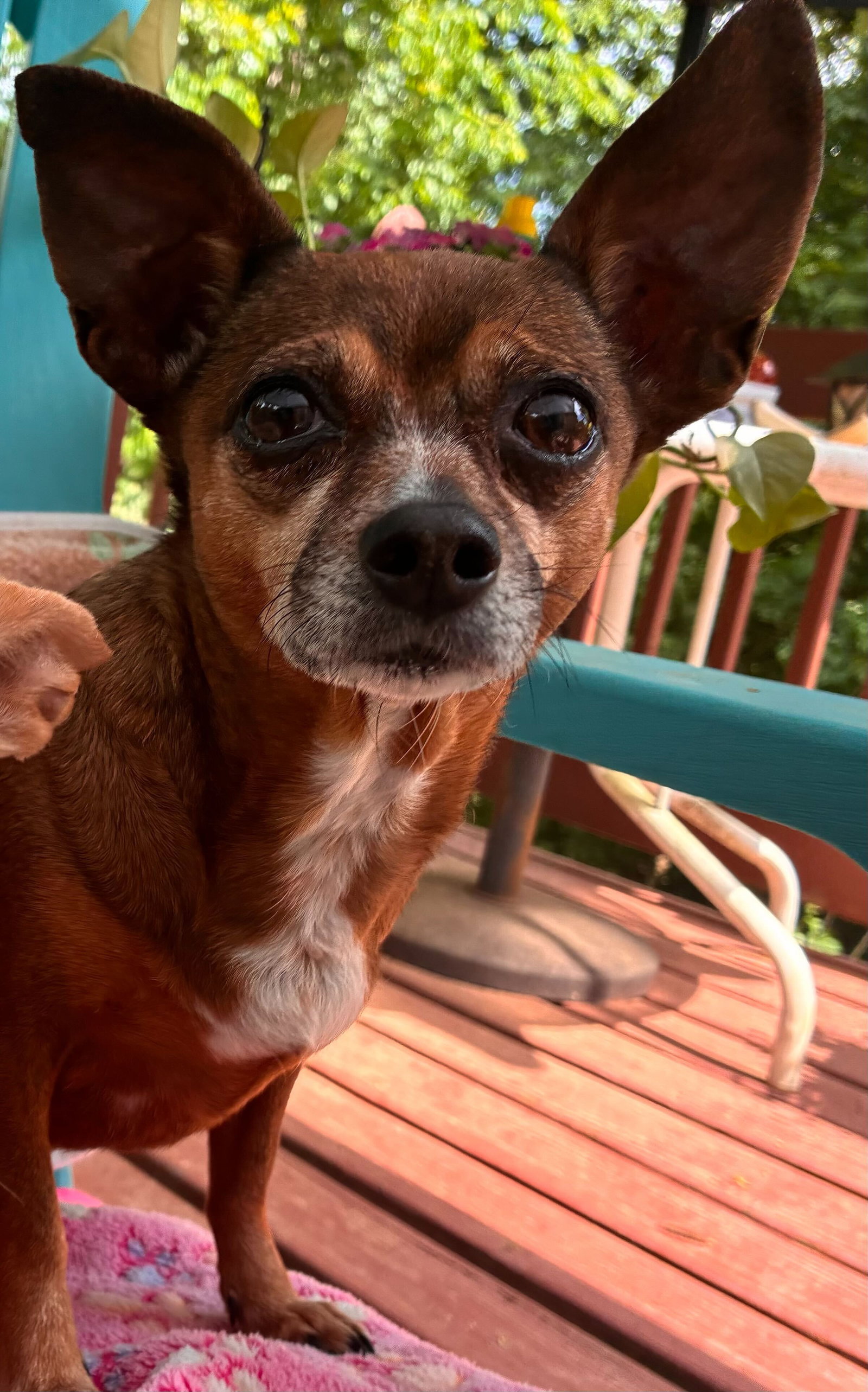 Ellie Mae Jun 25