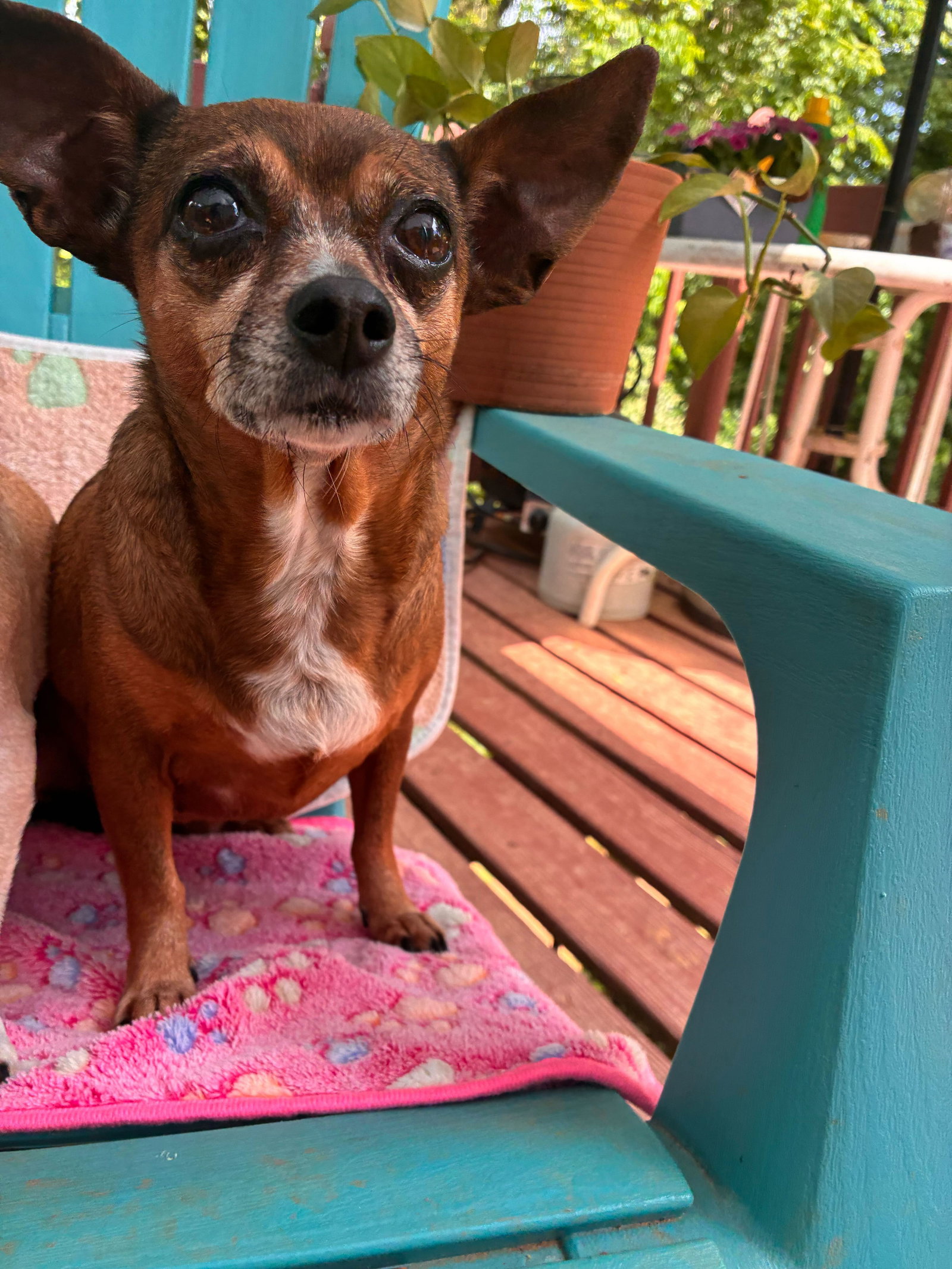 Photo 2 of 6 — Ellie Mae Jun 25