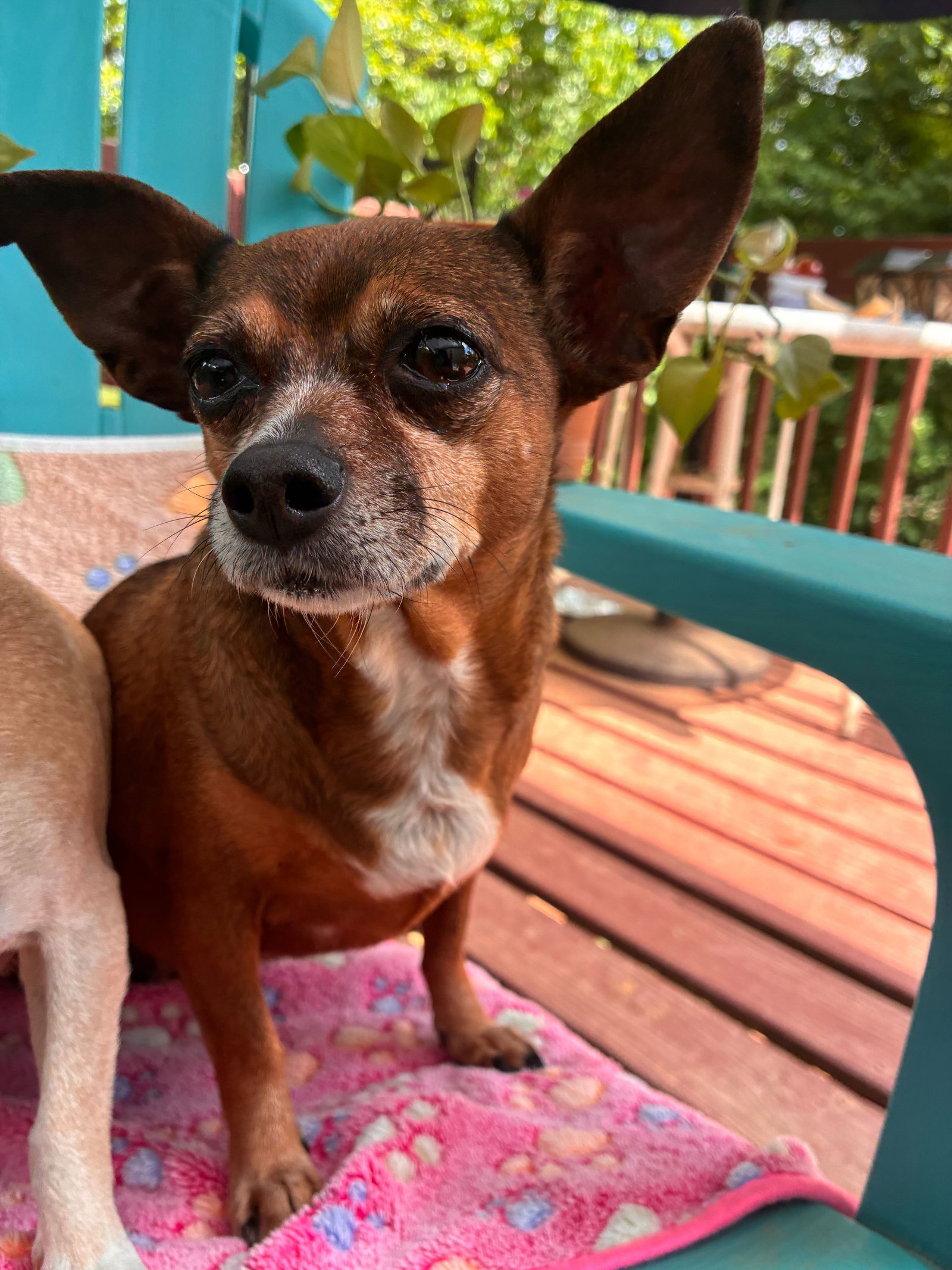 Photo 4 of 6 — Ellie Mae Jun 25