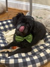 Mike Jul 25 - In Foster in Raleigh, NC - Photo 1
