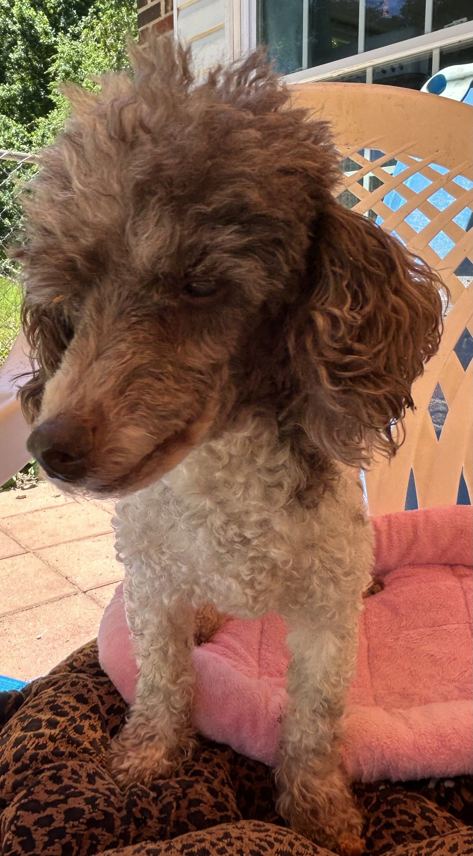 Photo 6 of 8 — Oliver Jul 25 - I am special