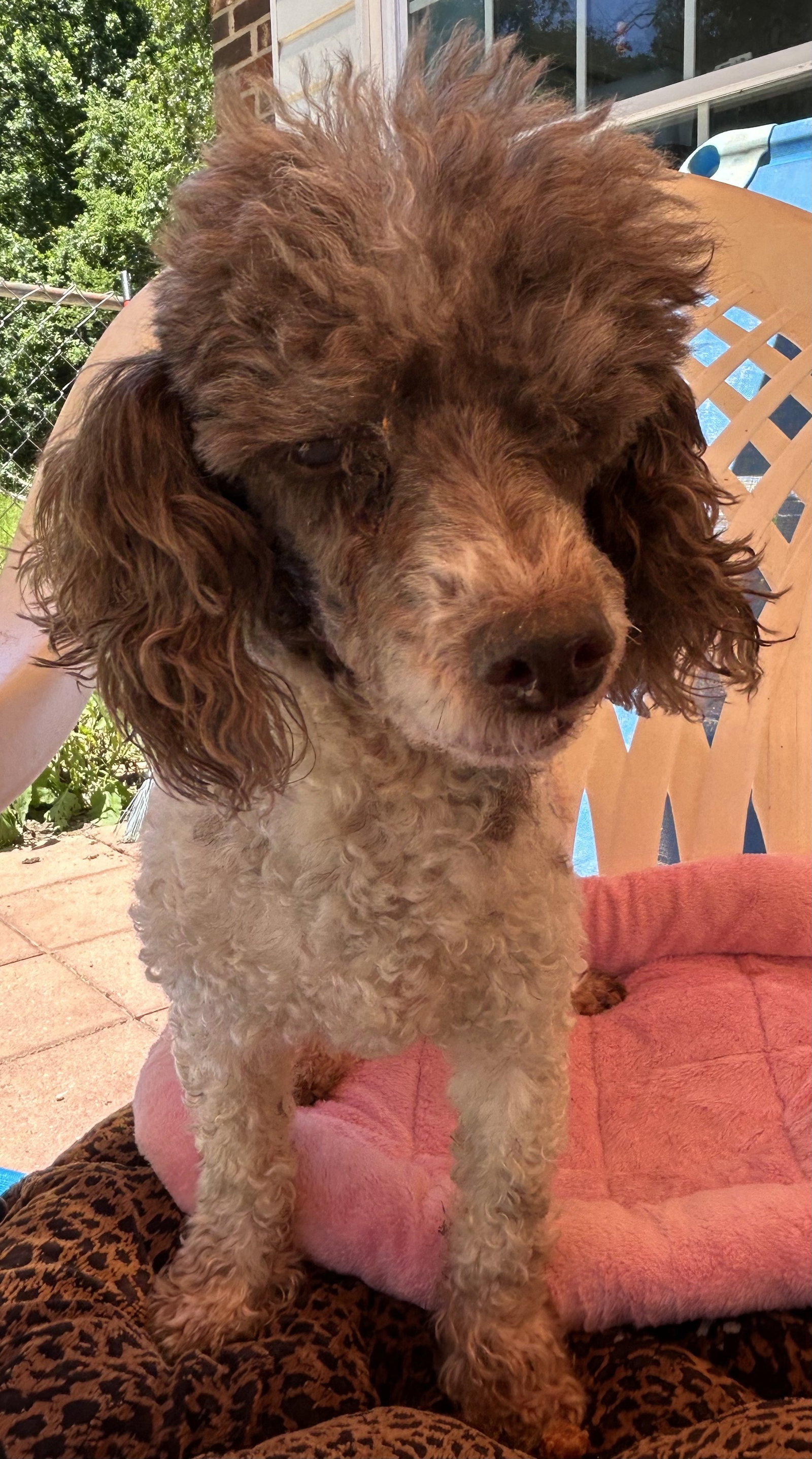 Photo of Oliver Jul 25 - I am special