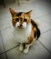 Tetra Aug 25 - Photo 1