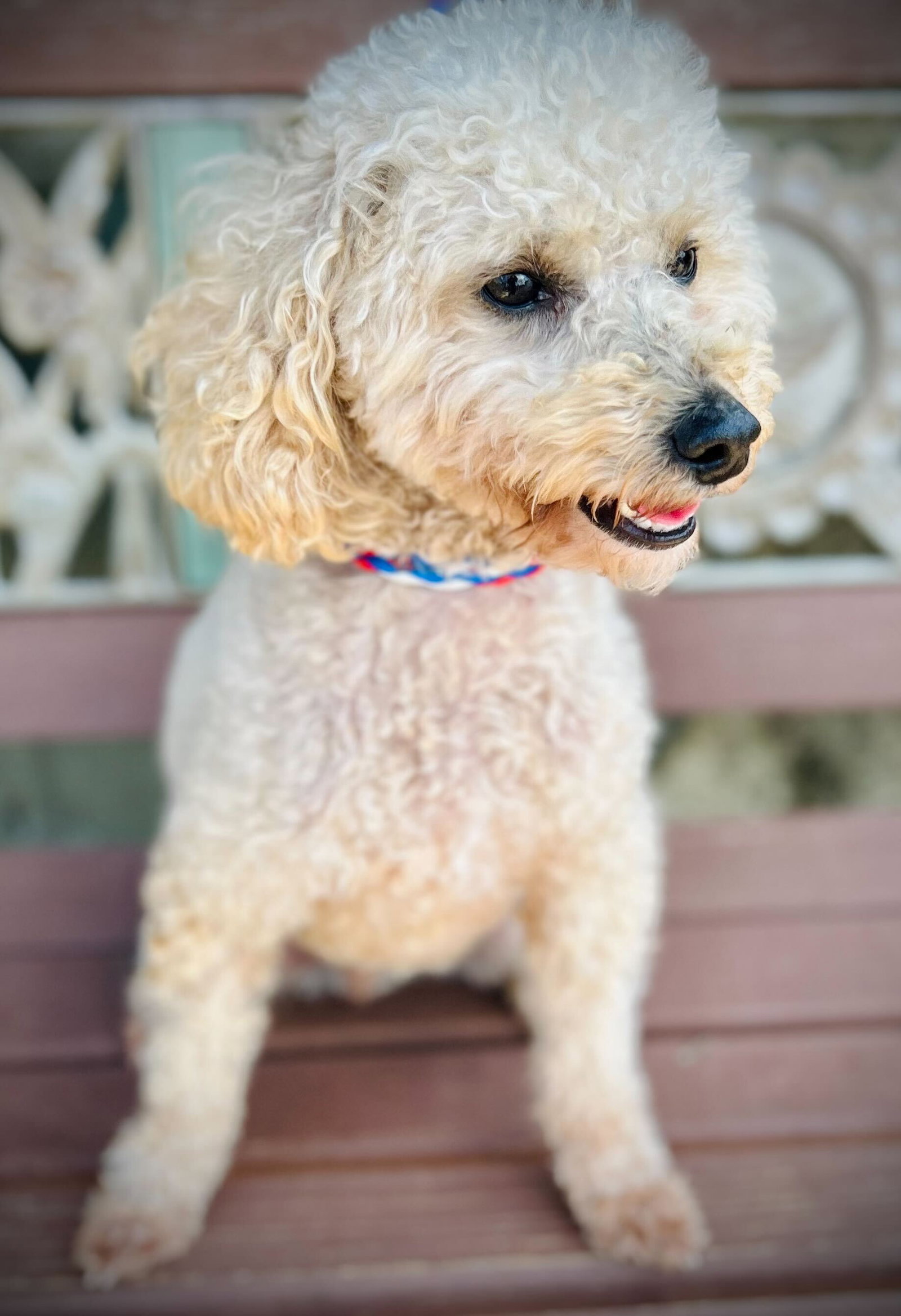 Photo 4 of 4 — Rocket Aug 25