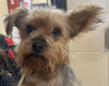 Ginny Sep 25 - Photo 1