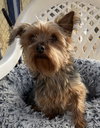 Ginny Sep 25 - Photo 2