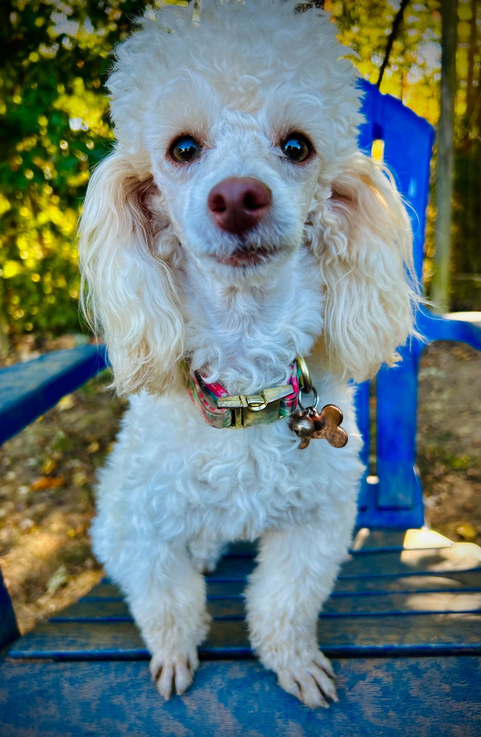 Photo 5 of 5 — Lainey Oct 25