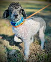 Rex Oct 25 - Photo 2