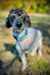 Rex Oct 25 - Photo 3