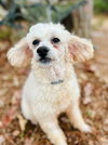 Penny Oct 25 - Photo 1