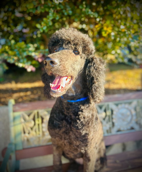 Photo of Rosie Ann Nov 25