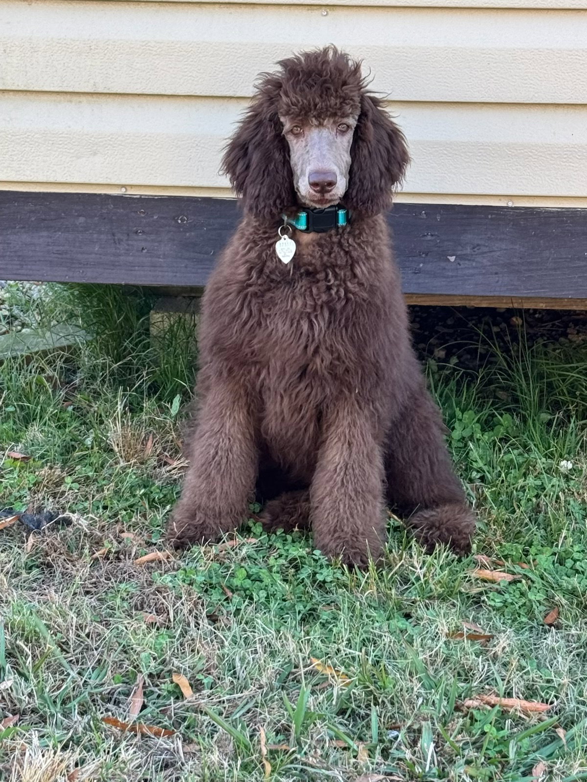 Penelope "Penny" Nov 25 Image