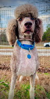 Mud Nov 25 - Photo 2