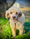 Sugar Nov 25 - Photo 1
