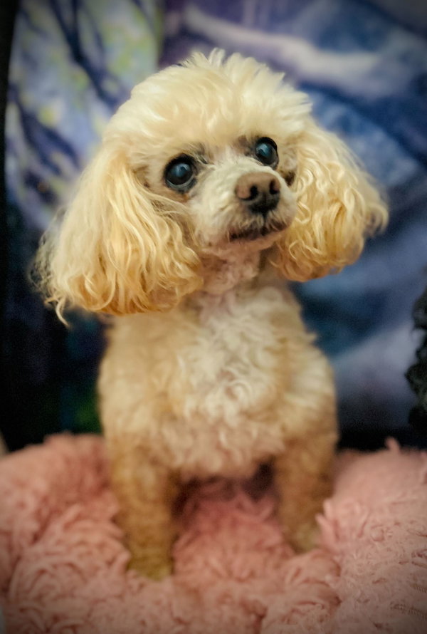 Gizmo Russell Dec 25