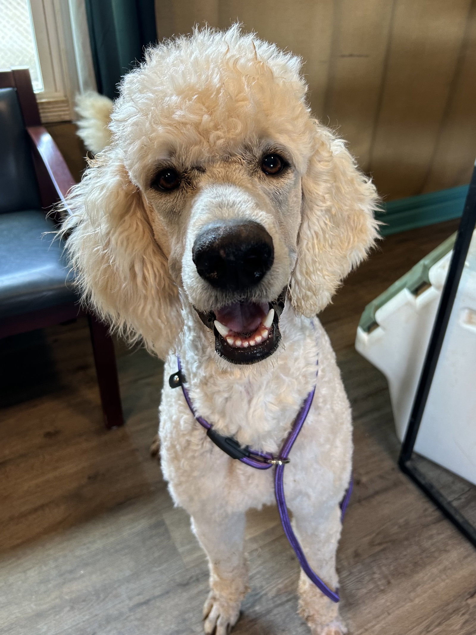 Photo 3 of 8 — Otis Jan 26