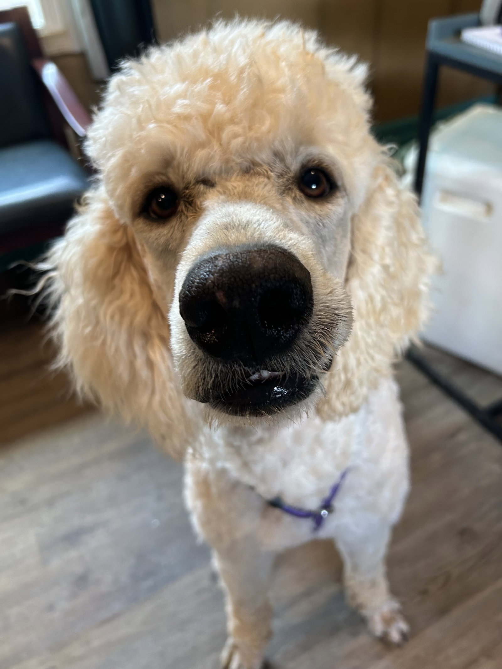 Photo 5 of 8 — Otis Jan 26
