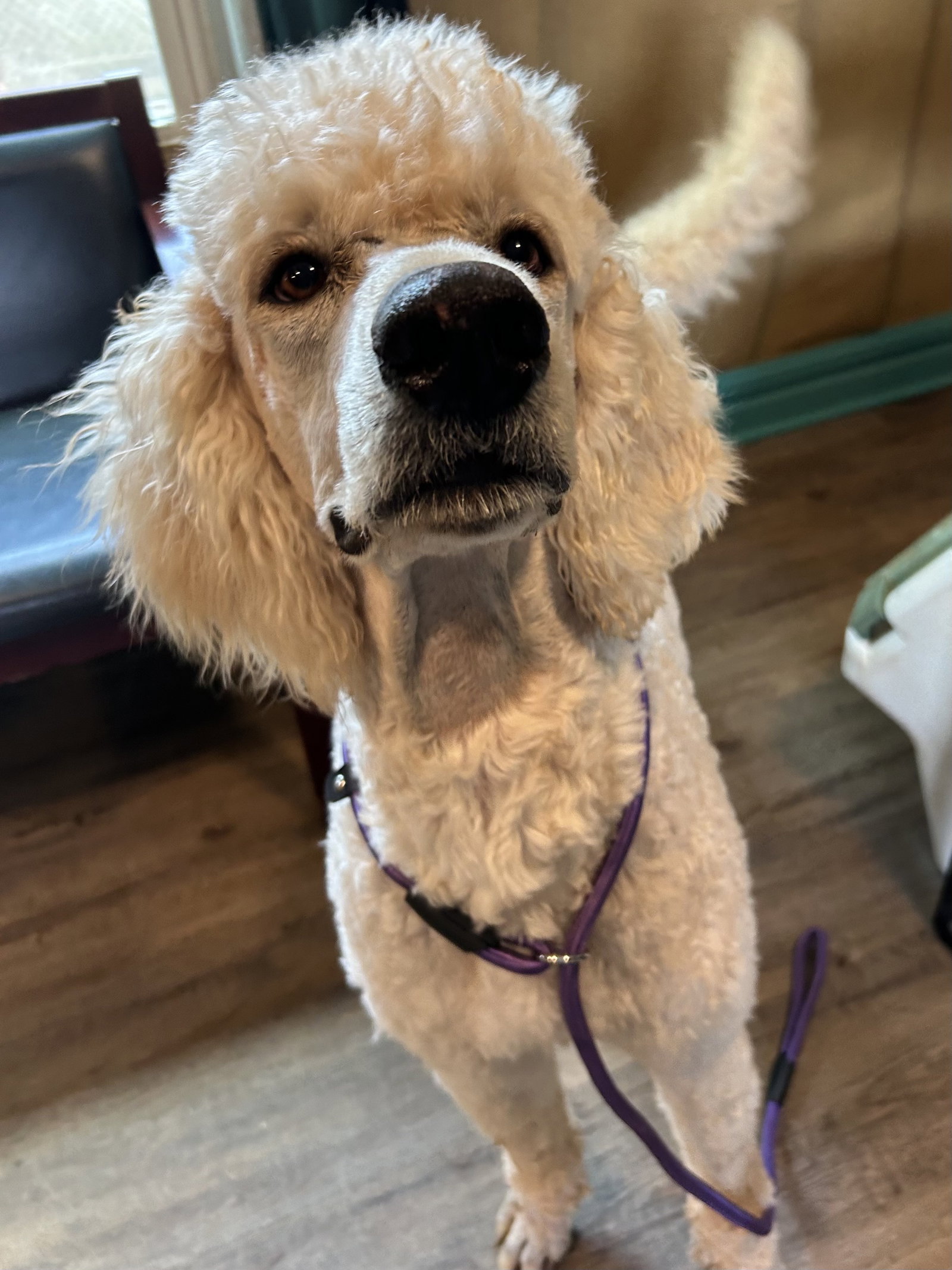 Photo 7 of 8 — Otis Jan 26