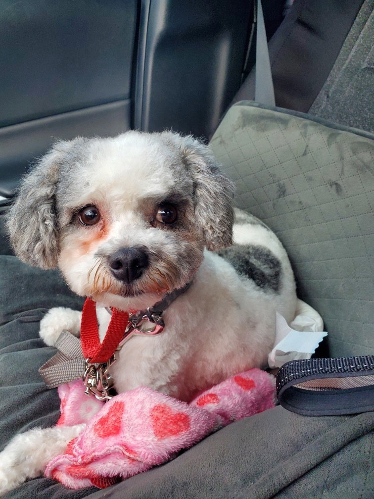 Photo of Doris Jan 26 In Foster in Cary, NC